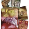 Cats Inspirational Oracle Cards