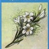Lenormand Oracle Cards