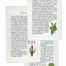 carte delle erbe